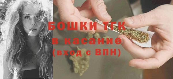 прущий лед Инсар