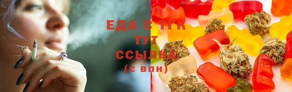 прущий лед Инсар