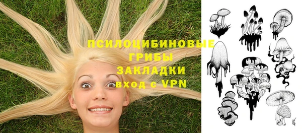прущий лед Инсар