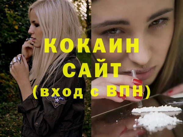 прущий лед Инсар