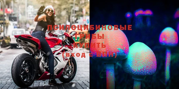 прущий лед Инсар