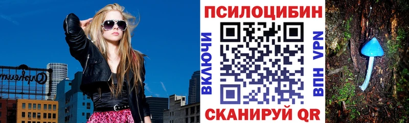 Галлюциногенные грибы мицелий  Купить где  Новокузнецк 